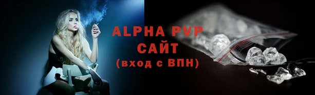 apvp Карпинск