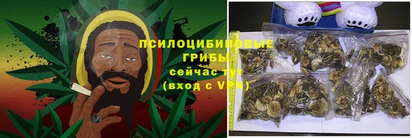 apvp Карпинск