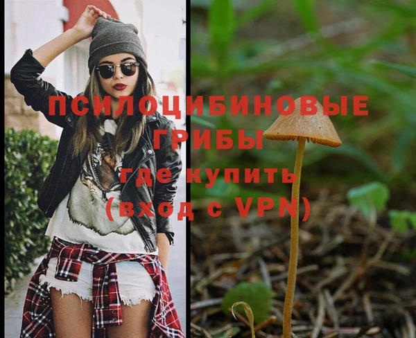 apvp Карпинск